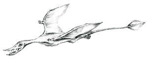 image003